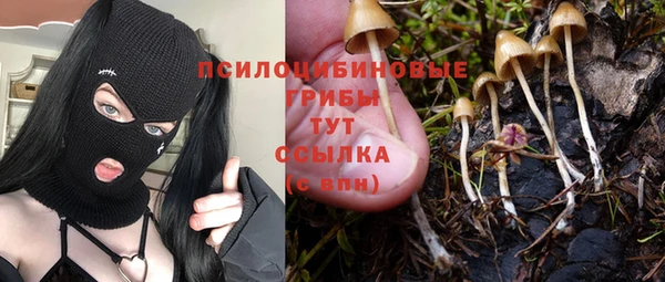 a pvp Балабаново