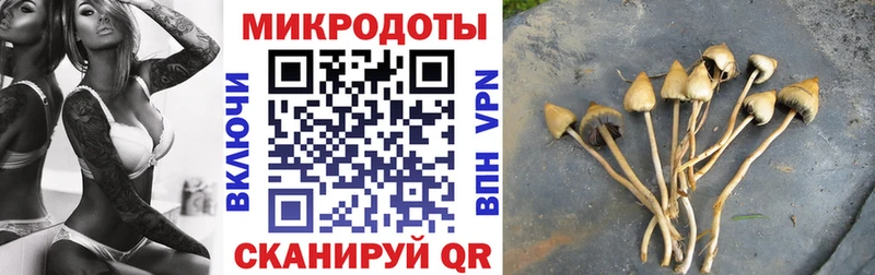 Галлюциногенные грибы Psilocybine cubensis МЕГА вход Североморск
